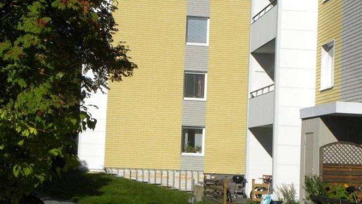 Fassadenstein "Baltic"